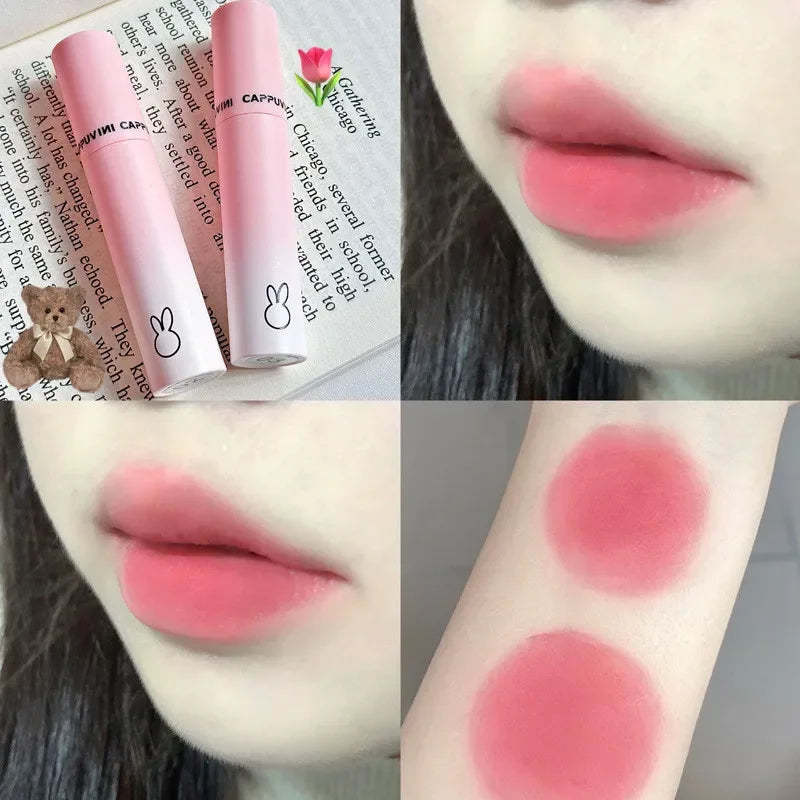 Velvet Matte Lip Mud Lipstick Mousse Chestnut Brown Waterproof Long Lasting Smooth Lip Gloss Women Lip Makeup Korea Cosmetics